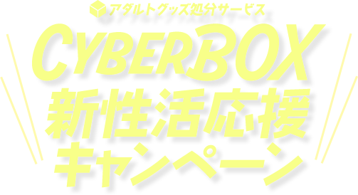 CyberBOXt̊Ly[