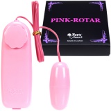 sN[^[ PINK-ROTOR